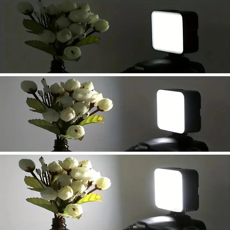 Anillo de luz profesional con clip para teléfono, con 10 niveles de brillo, recargable por USB, luz de relleno portátil para selfies y transmisiones en vivo